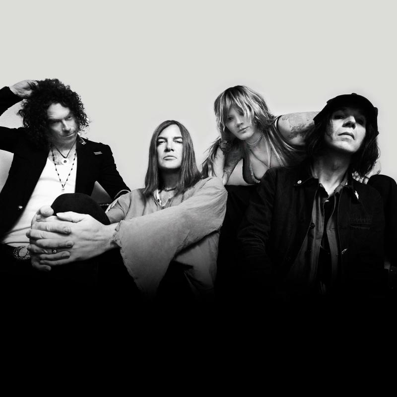 DANDY WARHOLS PRESS