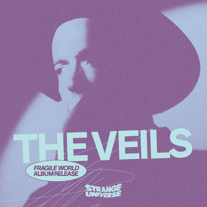 The Veils Press Shot