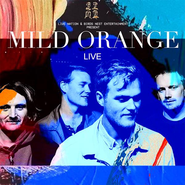 Mild Orange