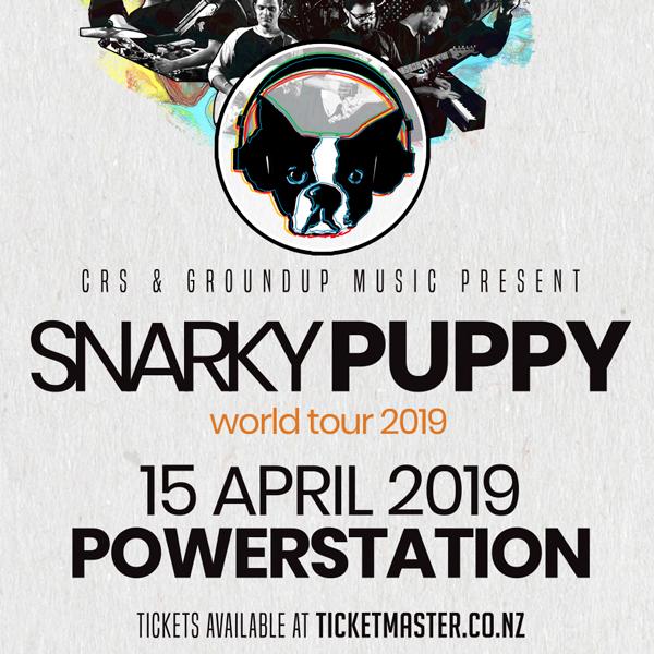 Snarky Puppy