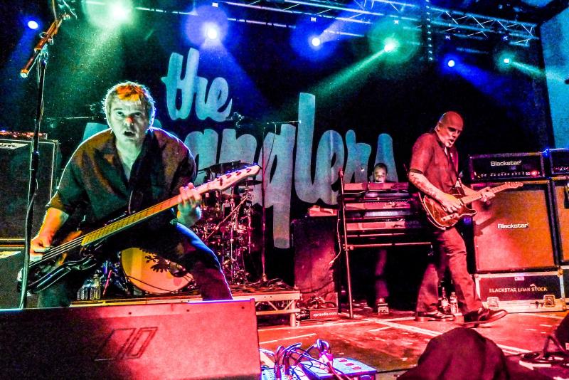 The Stranglers