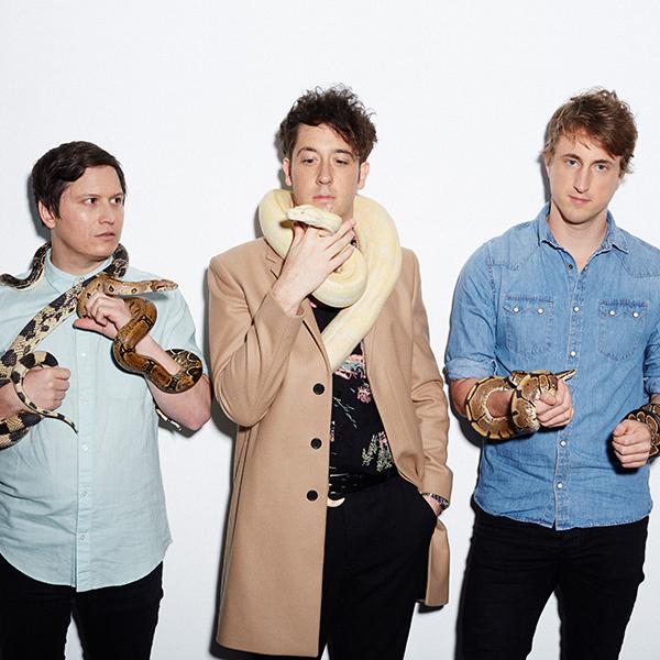 The Wombats