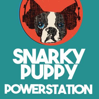 Snarky Puppy